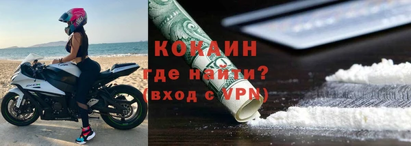 крисы Абаза