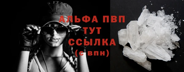 СК Абинск