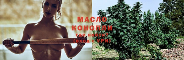 крисы Абаза