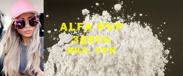 крисы Абаза